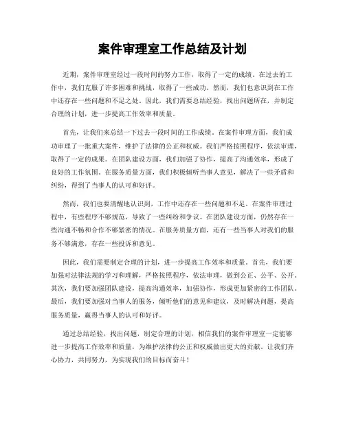 案件审理室工作总结及计划