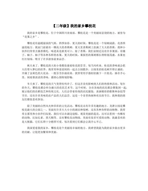 【二年级】我的家乡攀枝花