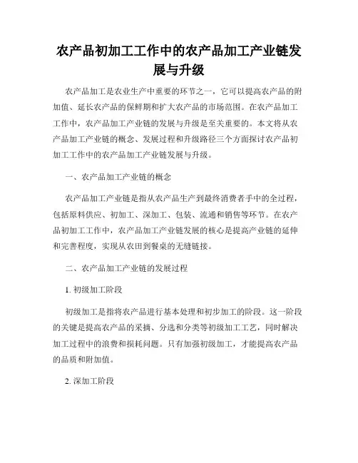 农产品初加工工作中的农产品加工产业链发展与升级