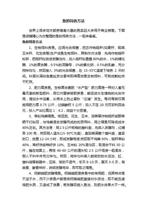 鱼的饲养方法