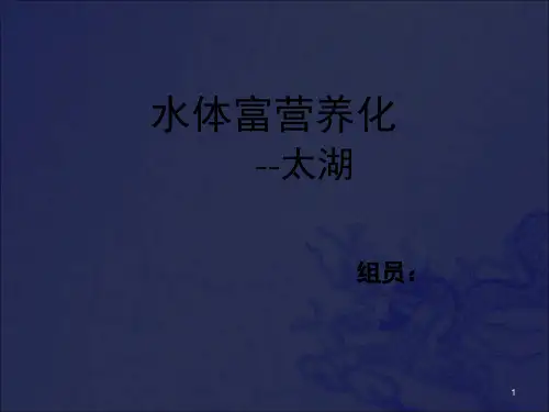 水体富营养化介绍课件PPT