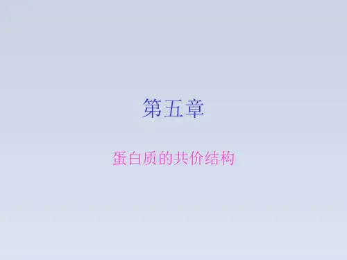 2023-生物化学课件 第五章蛋白质的共价结构