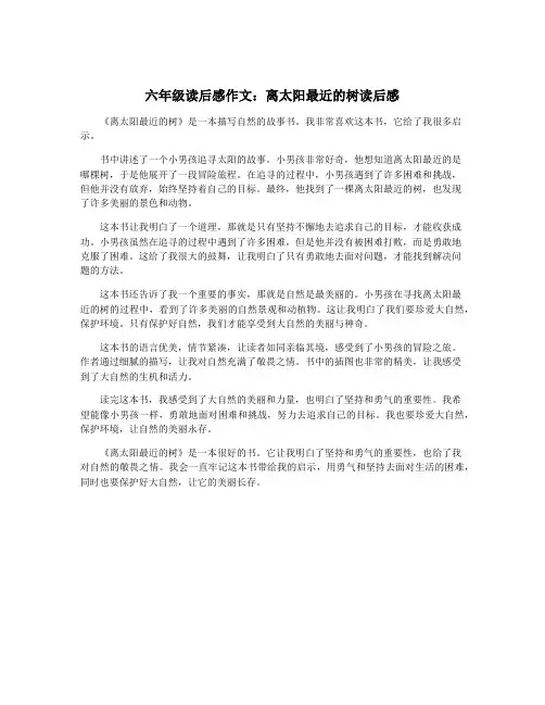 六年级读后感作文：离太阳最近的树读后感