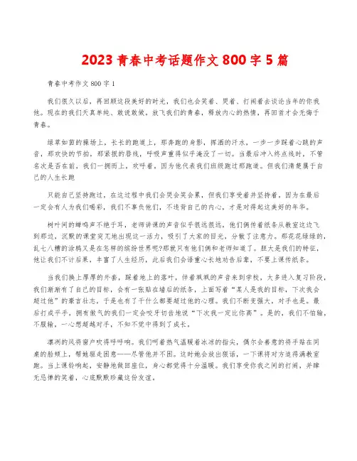 2023青春中考话题作文800字5篇