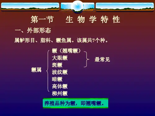 桂鱼季花鱼鳜鱼养殖技术(全面版)