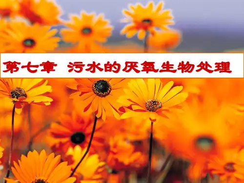 污水的厌氧生物处理PPT