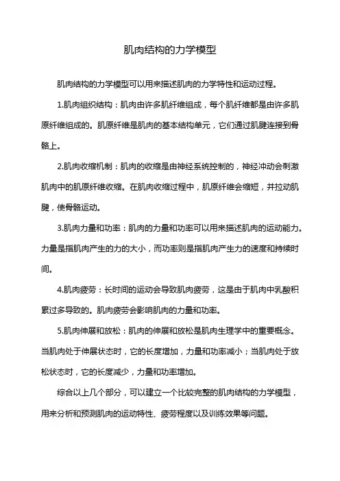 肌肉结构的力学模型