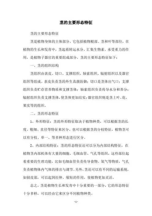茎的主要形态特征