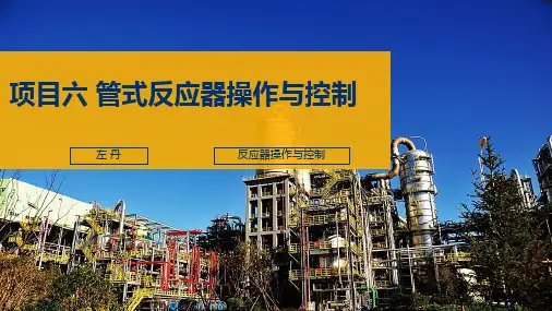管式反应器操作与控制