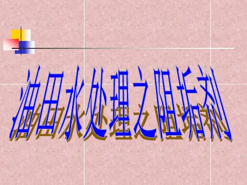 阻垢剂1