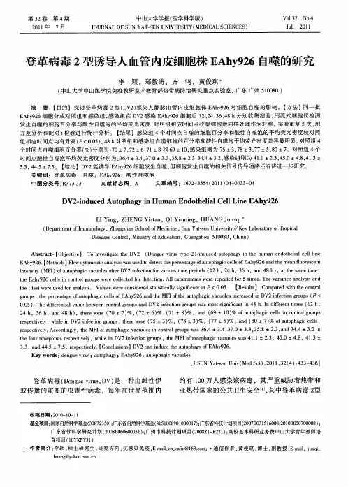 登革病毒2型诱导人血管内皮细胞株EAhy926自噬的研究