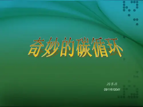 奇妙的碳循环.ppt