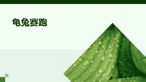 龟兔赛跑ppt课件