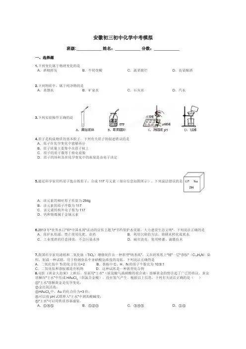 安徽初三初中化学中考模拟带答案解析
