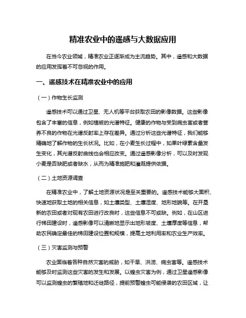 精准农业中的遥感与大数据应用