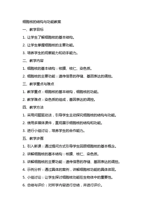细胞核的结构与功能教案