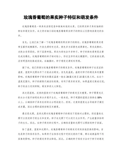 玫瑰香葡萄的果实种子特征和萌发条件
