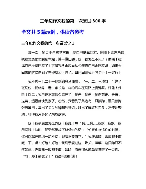 三年纪作文我的第一次尝试300字