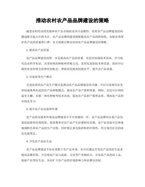 推动农村农产品品牌建设的策略