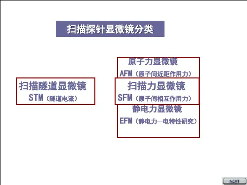 现代分析测试方法-STM