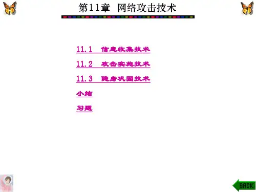 精品文档-信息安全技术(赵泽茂)-第11章