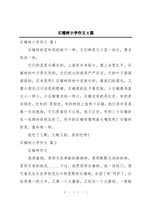 石榴树小学作文4篇