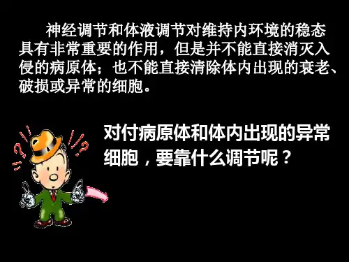 人教版 高二生物 必修三 第二章 第四节-免疫调节