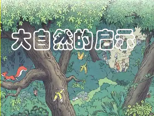 12.《大自然的启示》ppt课件