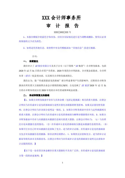 保留意见的财务报表审计报告(合并)