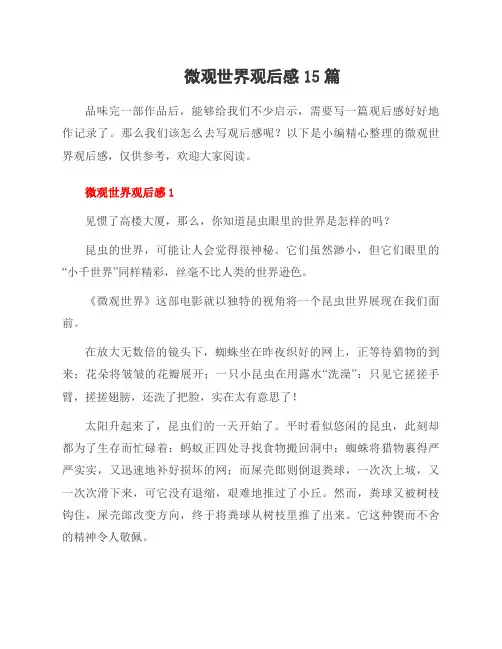 微观世界观后感15篇
