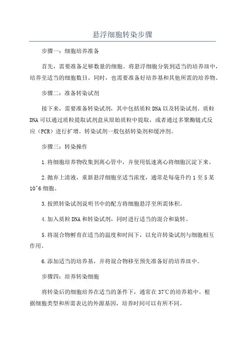 悬浮细胞转染步骤