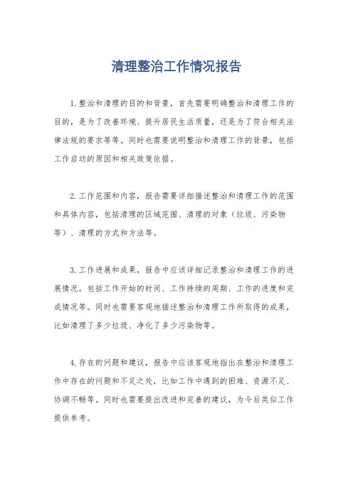 清理整治工作情况报告