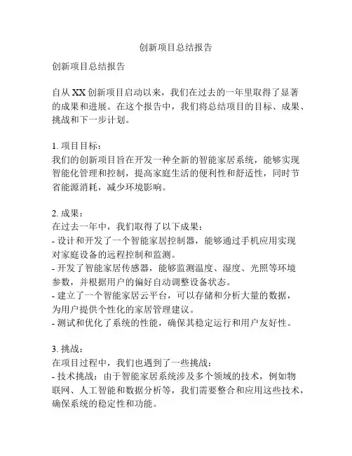 创新项目总结报告
