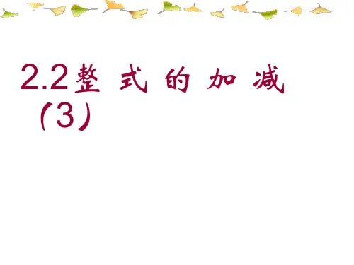 2.2.3整式的加减