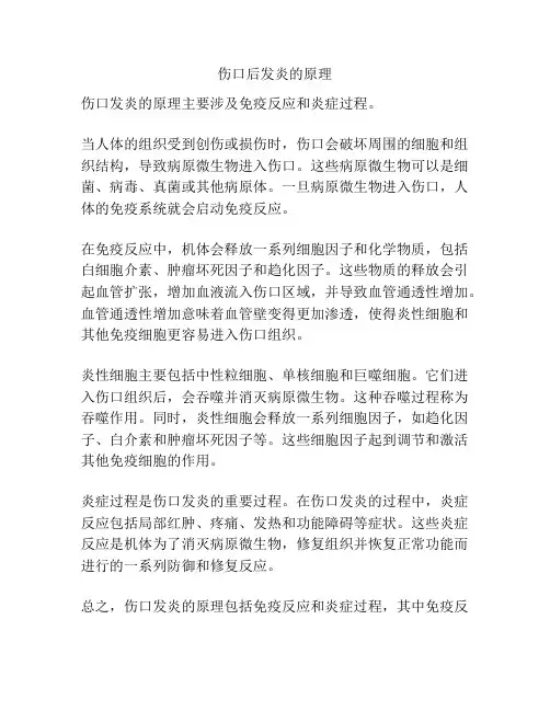 伤口后发炎的原理