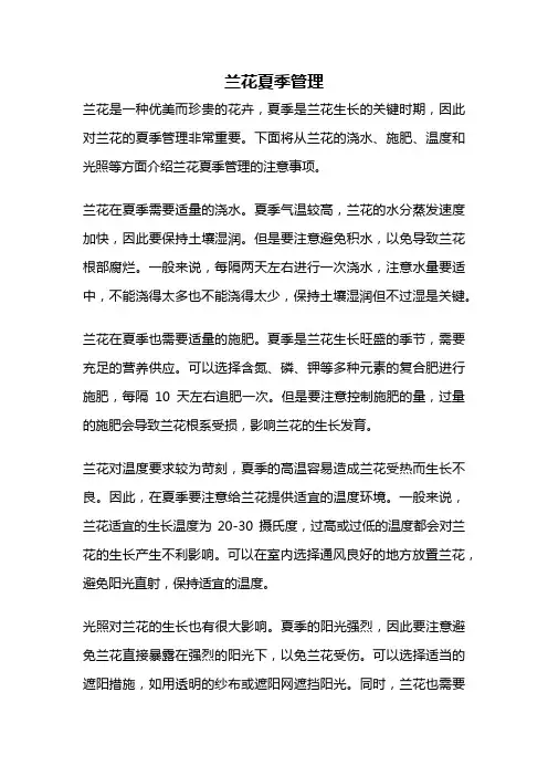 兰花夏季管理