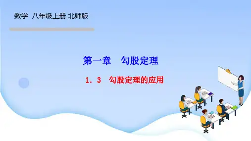 北师版八年级数学上册作业课件(BS) 第一章 勾股定理 勾股定理的应用