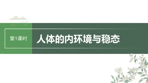 2024届高考一轮复习生物课件(人教版)：人体的内环境与稳态