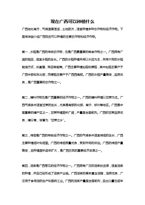 现在广西可以种植什么