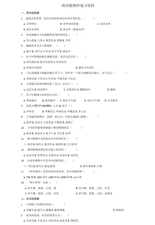 药用植物学复习资料