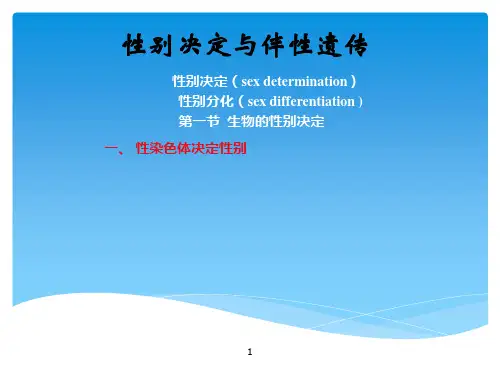 性染色体决定性别ppt课件