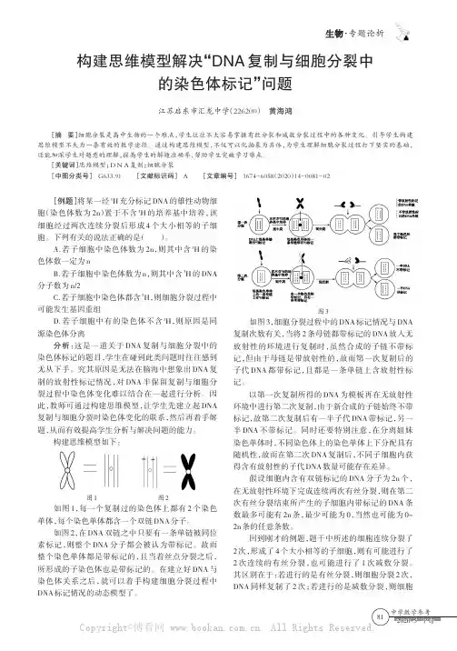 构建思维模型解决“DNA复制与细胞分裂中的染色体标记”问题