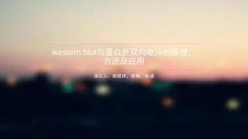 western-blot与蛋白质双向电泳的原理,方法及应用