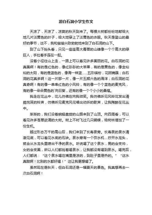 游白石洞小学生作文