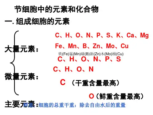 高中生物第一轮复习必修一第二章[优质ppt]