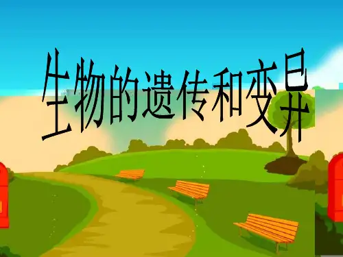 遗传和变异PPT教学课件