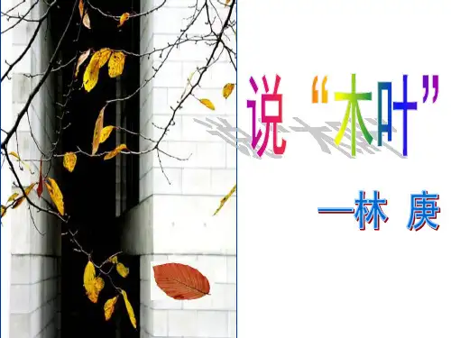 高中语文必修五第9课《说木叶》课件 (共36张PPT)