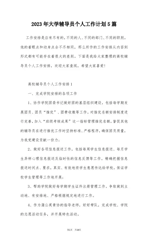 2023年大学辅导员个人工作计划5篇