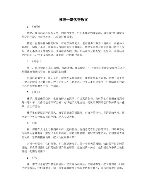推荐十篇优秀散文