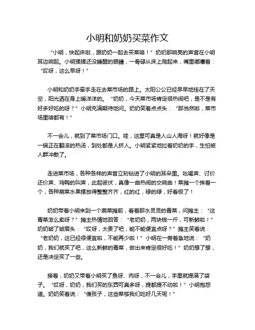 小明和奶奶买菜作文